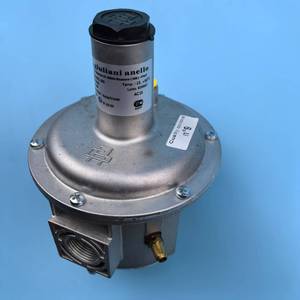 Giuliani Anello Gas Pressure Reducing Valve, Pressure Reducing Valve FG1B15, FG1B20, FG1B25, 40, 50, ST4B50 Boiler burner Parts - Product Image 2