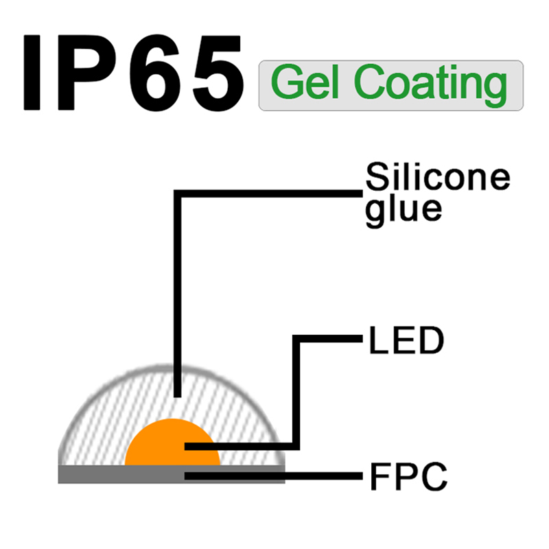 IP65