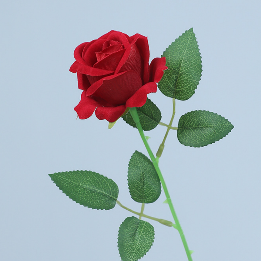 Rouge