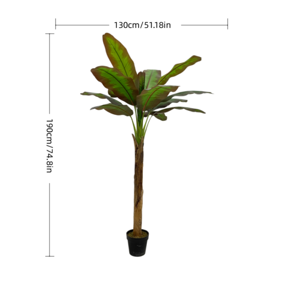 XY2503-1980 170CM