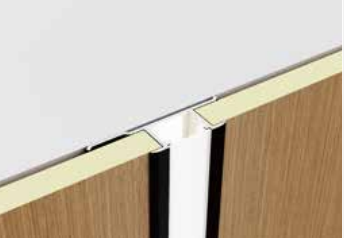 Dual Function Light Strip Molding