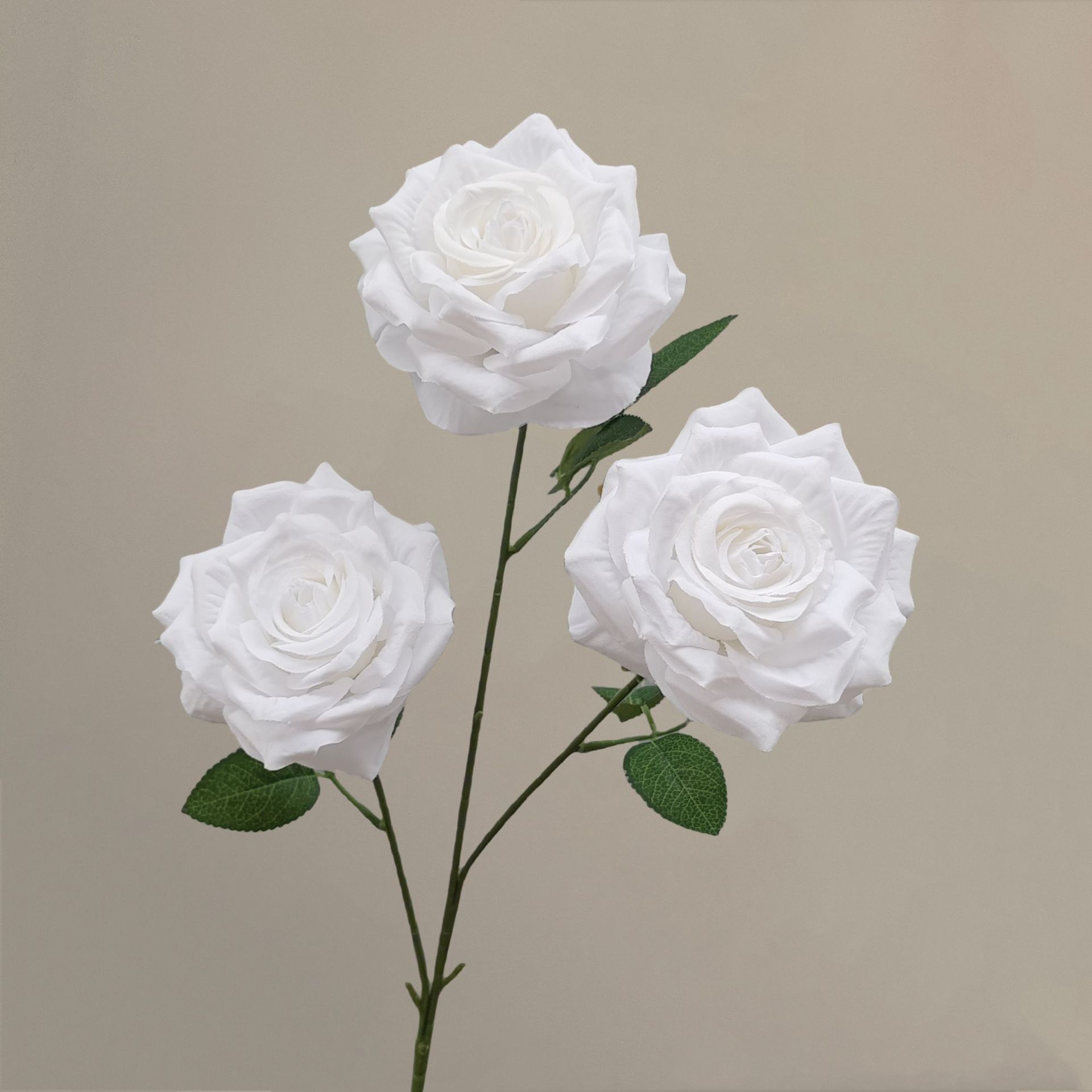 Blanc pur