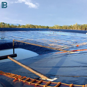 Su geçirmez baraj rezervuar gömlekleri balık çiftliği tankı için HDPE geomembran su ürünleri yetiştiriciliği için 0.3mm-1.2mm polietilen - Product Image 4