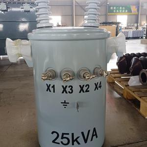 Einphasiger 33-kV-Poltransformator 30kVA 50Hz 60Hz Frequenzen 220V 11kV Mehrere Ausgangs spannungen 10kV Eingang 380V Ausgang - Product Image 6