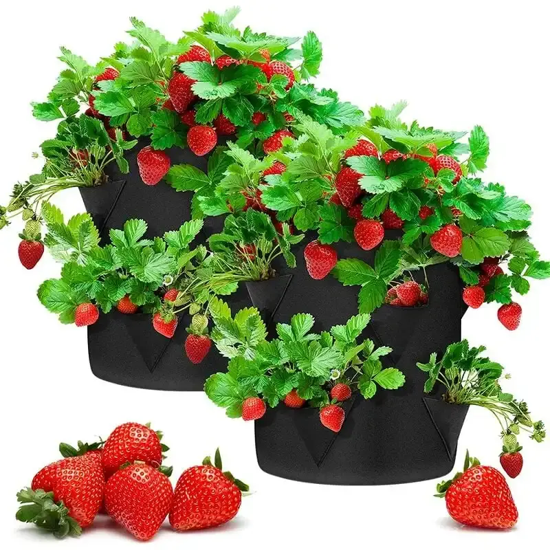 Sacs de culture en feutre suspendus pour fraises tomates fleur légumes sacs de plantation jardinière avec poignées robustes