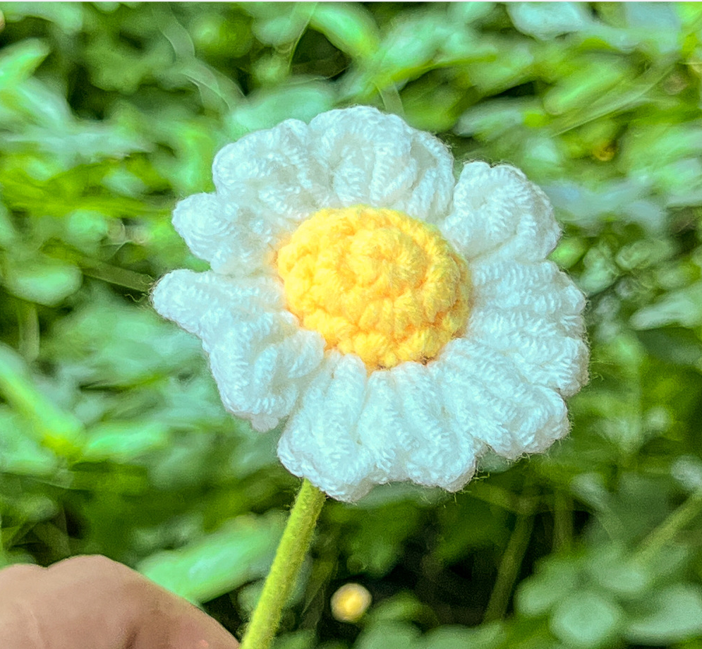 crochet dasiy