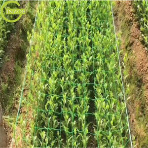 Komplett in den Spezifikationen China Trellis Netting - Product Image 6