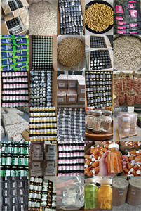 OEM kapsul hijau Super suplemen makanan Super Alfalfa kapsul jahe akar bit mendukung energi kekebalan buah sayuran kapsul - Product Image 2