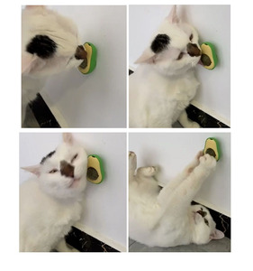 Wholesale <strong>Catnip</strong> Toy Rotatable Kitten Snacks Play <strong>Catnip</strong> Avocado Wall <strong>Catnip</strong> Balls Pet Accessories Edible Kitty Toys