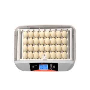 HHD CE Giấy Chứng Nhận Mini Lồng Ấp Trứng Nở Máy 4/12/35 Lồng Ấp Trứng Gà - Product Image 5