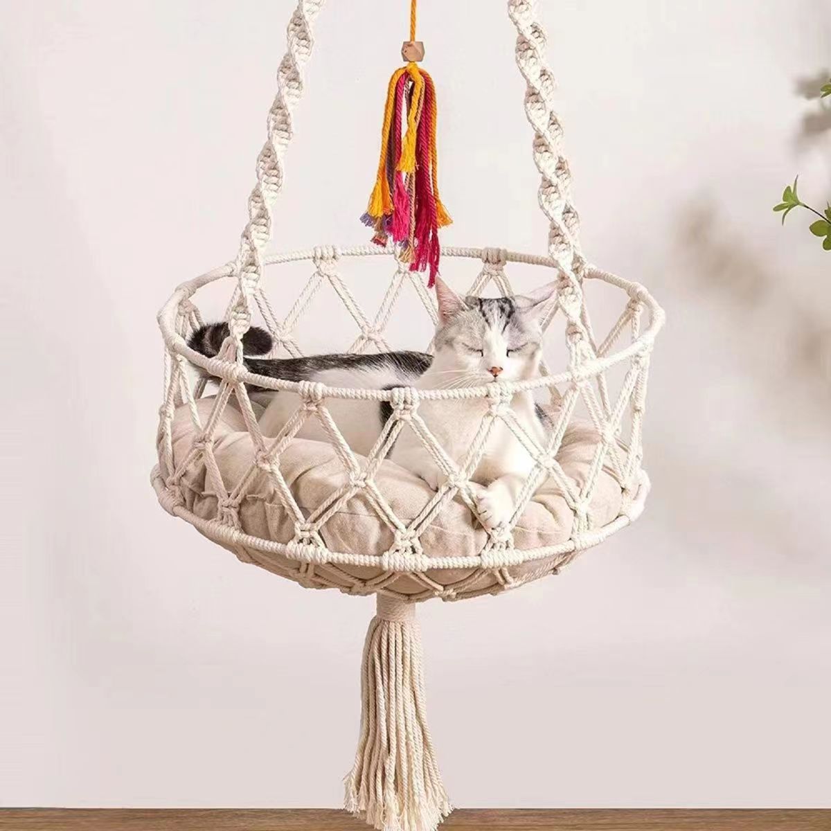 Panier plat inférieur de chat de double cercle sans diamètre de tapis