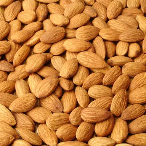 Newest Crop Almond Nuts / Roasted Salted Almond 100% Premium Grade In Bulk Wholesale