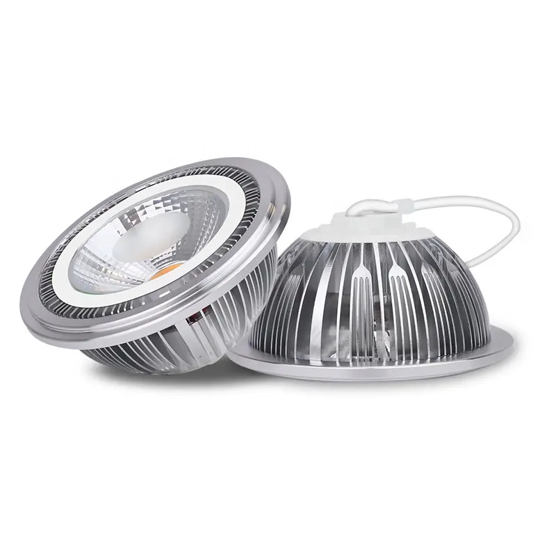 Iluminación interior 5W 7W 9W 12W Blanco cálido CRI80 12V 24V LED COB Ar111 Downlights