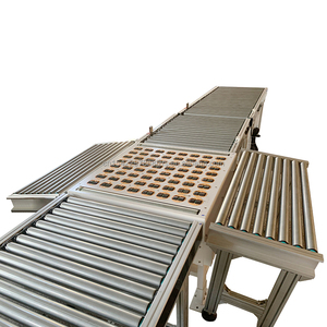Transportador de mesa de rodillos de transmisión de cadena de doble fila motorizado de alto rendimiento para un manejo eficiente de materiales - Product Image 6