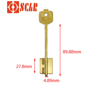 Pirinç anahtar boş özel tasarım ve güvenlik kapısı tuşlu güvenli avrupa kapı anahtarları üretimi - Product Image 1