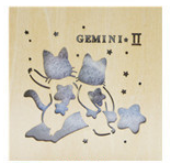 5.21ราศีเมถุน-6.21