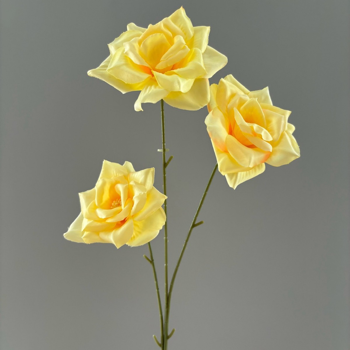 rose à 3 têtes