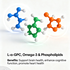 Oem tập trung và bộ nhớ hỗ trợ bằng miệng Dải với l-alpha-gpc/Omega-3/phospholipids não sức khỏe bằng miệng màng mỏng bổ sung - Product Image 4