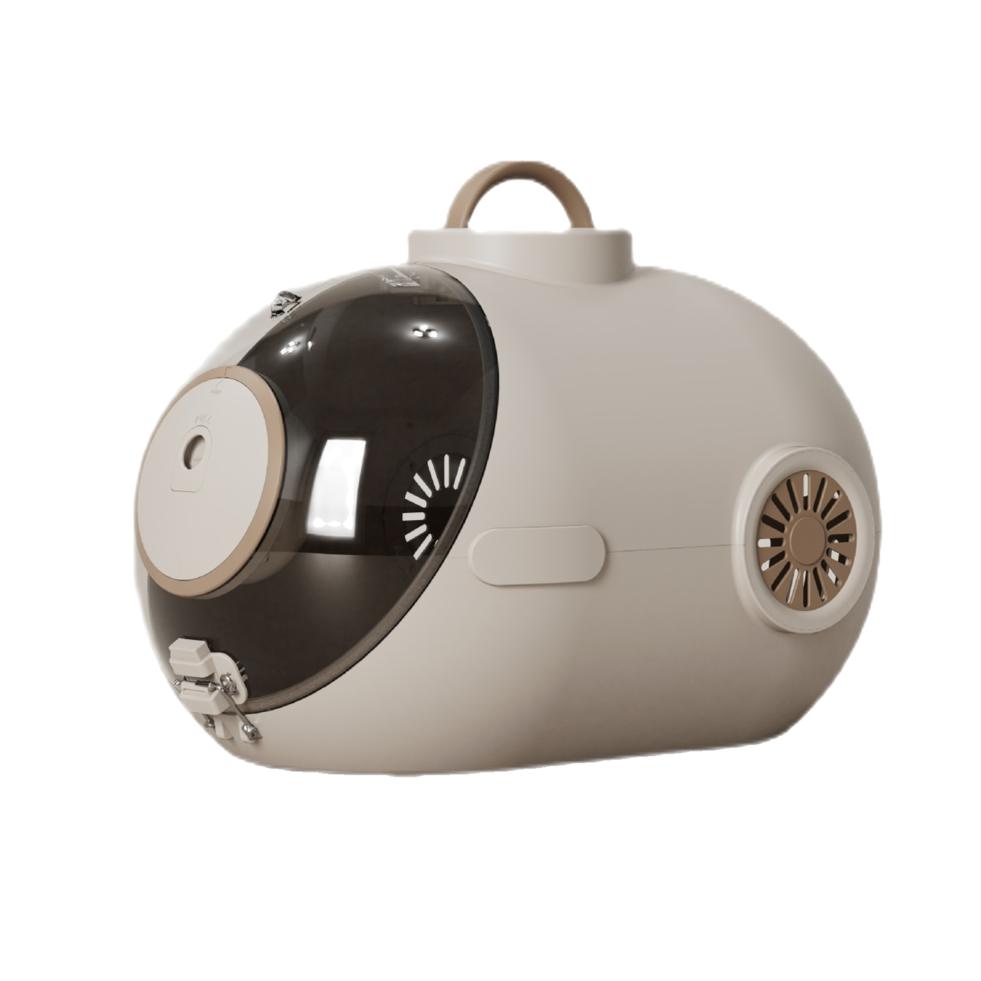 สีน้ำตาล