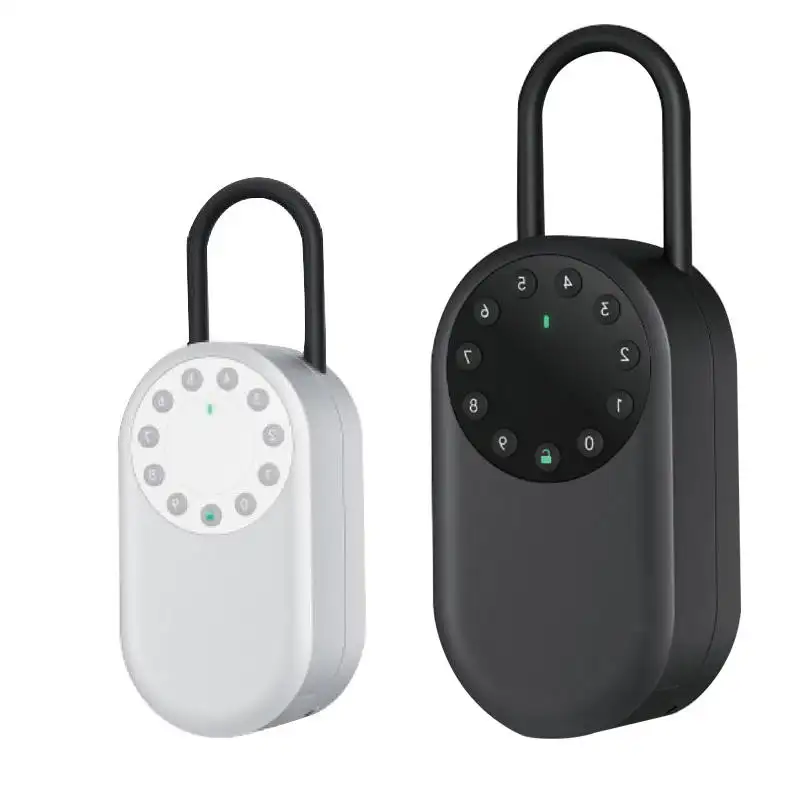 Tuya Smart Home portachiavi scatola chiave segreta serratura Bluetooth App sblocco impermeabile Smart Home serratura elettronica scatola di serratura a chiave