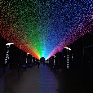 <strong>DMX512</strong> Control Programmable 220V Christmas Decoration Festival Landscape IP65 <strong>LED</strong> Fairy Outdoor <strong>String</strong> <strong>Light</strong> - Product Image 5