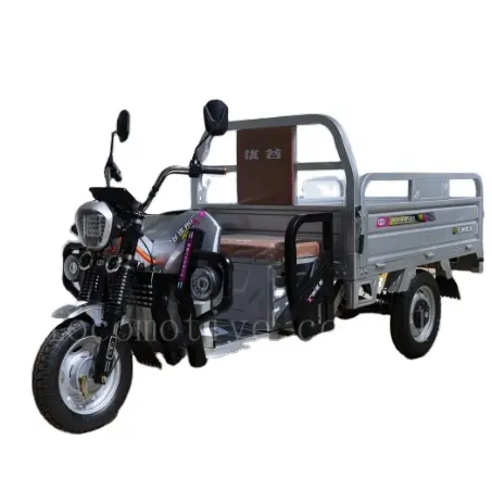 Factory ODM/OEM Wholesale Adults Cargo Top Speed 40km/H Electric Tricycles Truck Cargo Tricycle Cargo Tricycle Bicycle