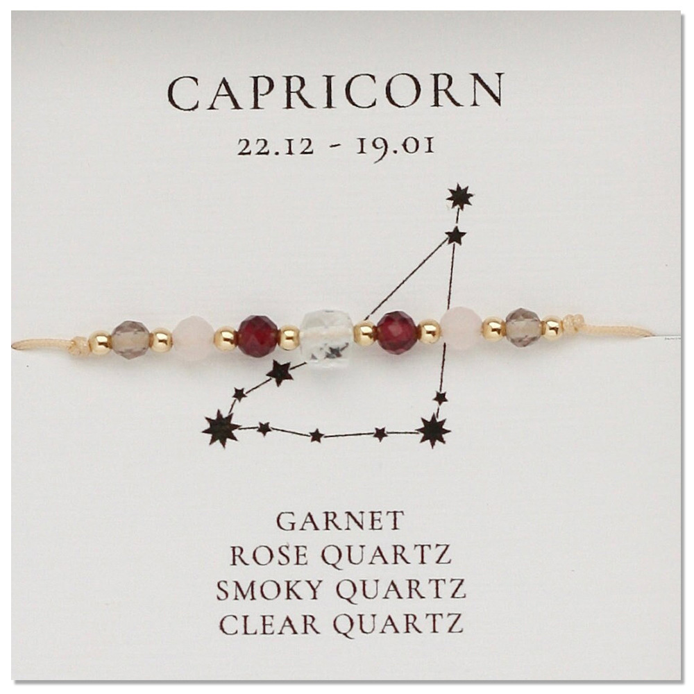 B- b24101701e-p (Capricornio)