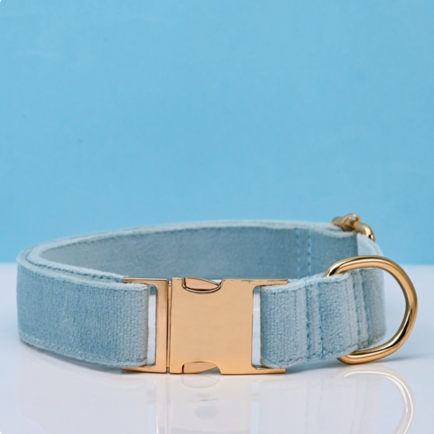 Bleu clair