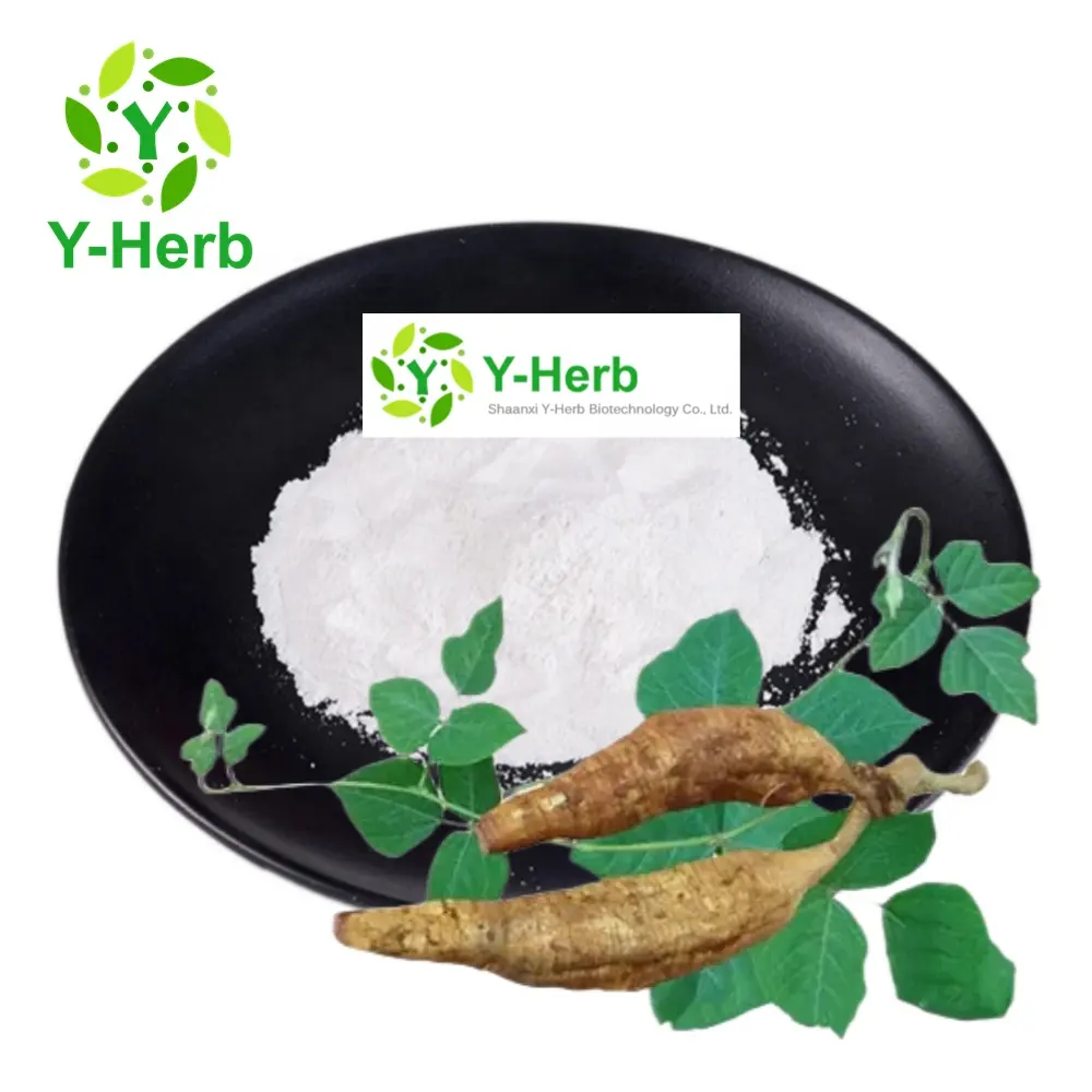 Pueraria mirifica chiết xuất chất lỏng/bột puerarin 98% GE gen/Pueraria mirifica chiết xuất