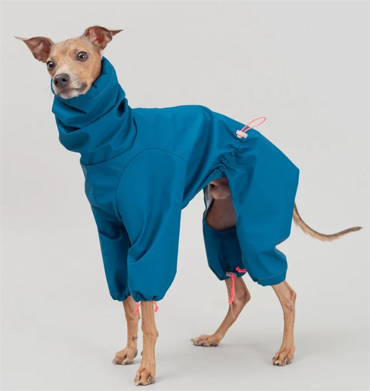 Bleu