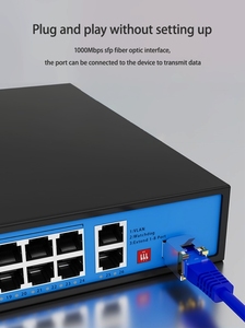 Dalgalanma koruması ve VLAN 2*10/Port PoE anahtarı/1000Base-T RJ45 ağ bağlantı noktası ile çok fonksiyonlu 16-100 - Product Image 2