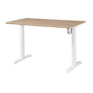 New Gaming <strong>Desk</strong> <strong>Simple</strong> and Generous <strong>Computer</strong> <strong>Desk</strong> Motorized Motors Electric Height Adjustable Sit - Product Image 6
