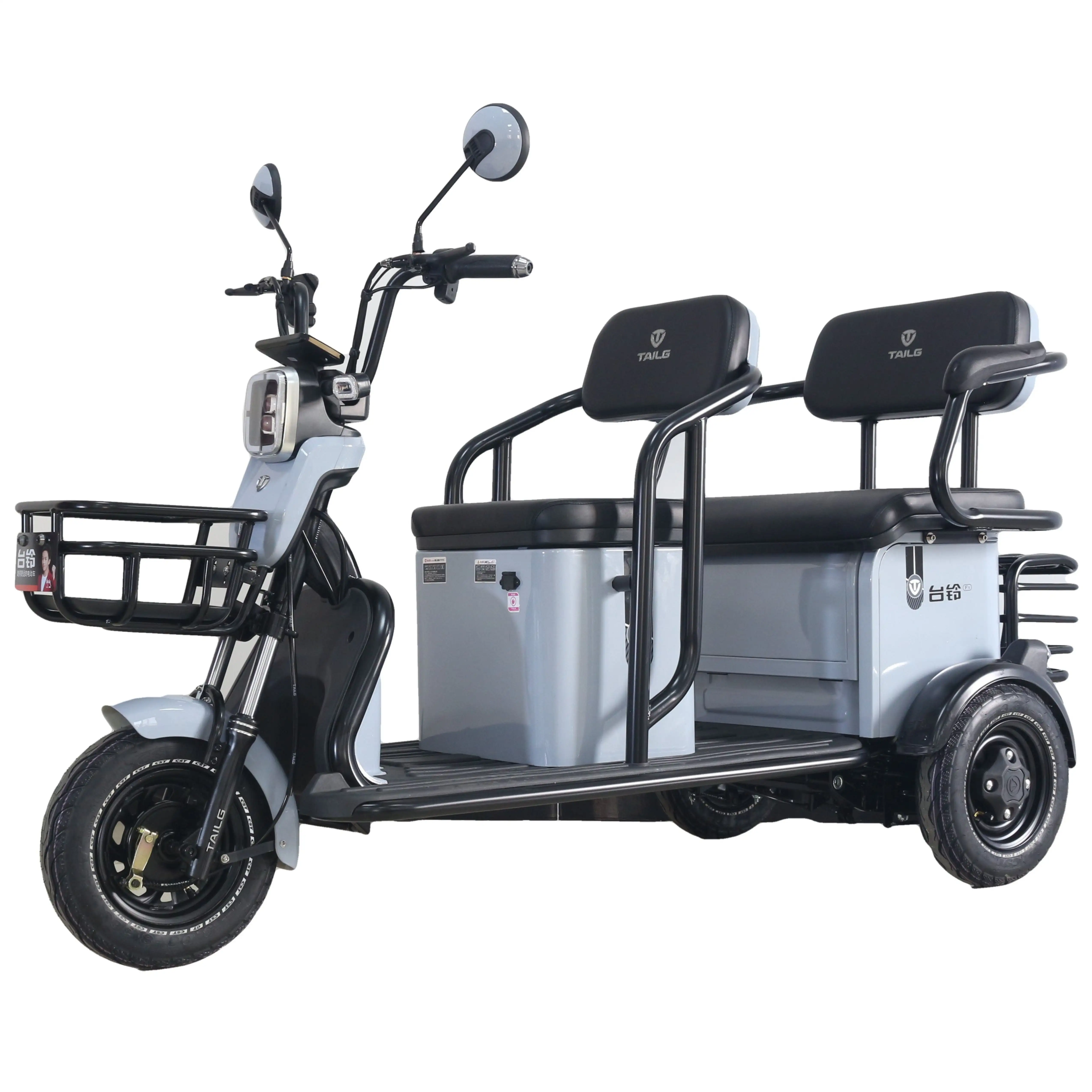 Tailg Chinese EEC Cool Design Nuevo Triciclos motorizados en tándem de acero inoxidable de 3 ruedas para adultos