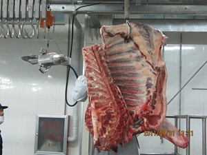 每天500线栏杆系统羊羊肉胴体栏杆肉栏杆建在屠宰场 - Product Image 6