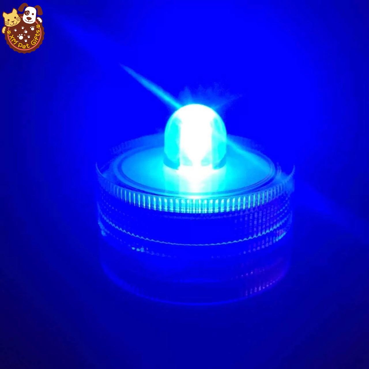 Bleu lumière