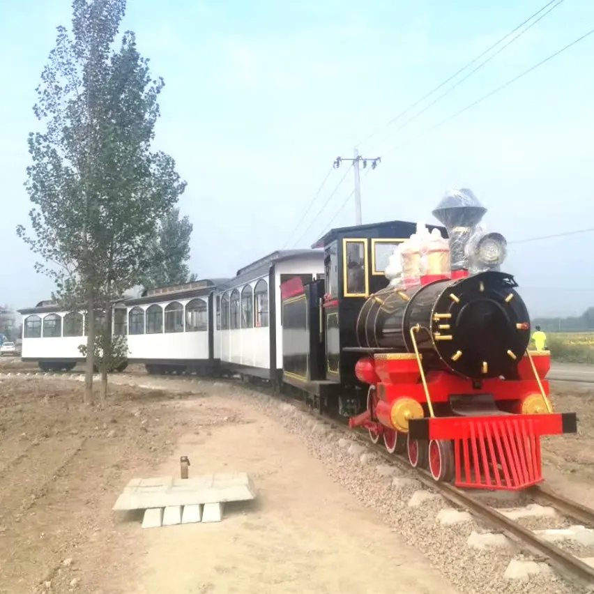 100 posti Super Parco di Divertimenti Treno Pista Elettrica per la vendita