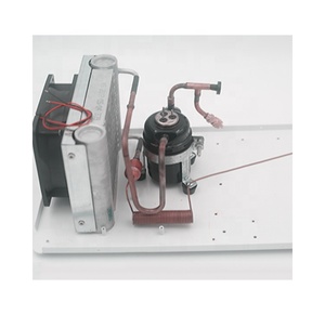 Dc 12v 24v mini soğutma ünitesi yoğuşmalı ünitesi HAVA SOĞUTUCU klima için kırmızı şarap soğutucu araba buzdolabı nem alma cihazı - Product Image 1