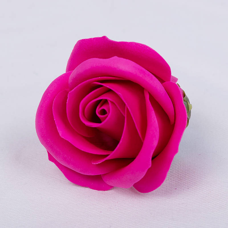 Rose rose