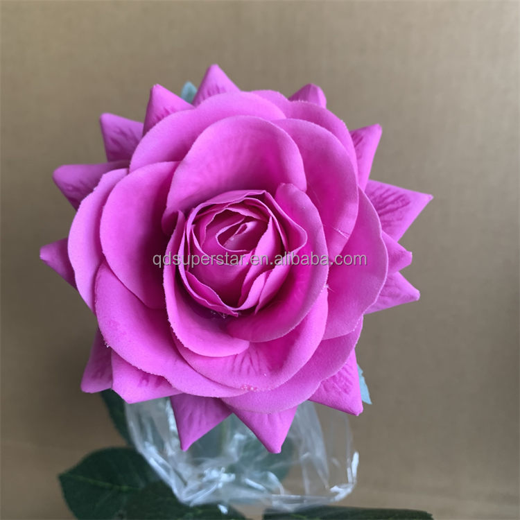 Rosa caliente