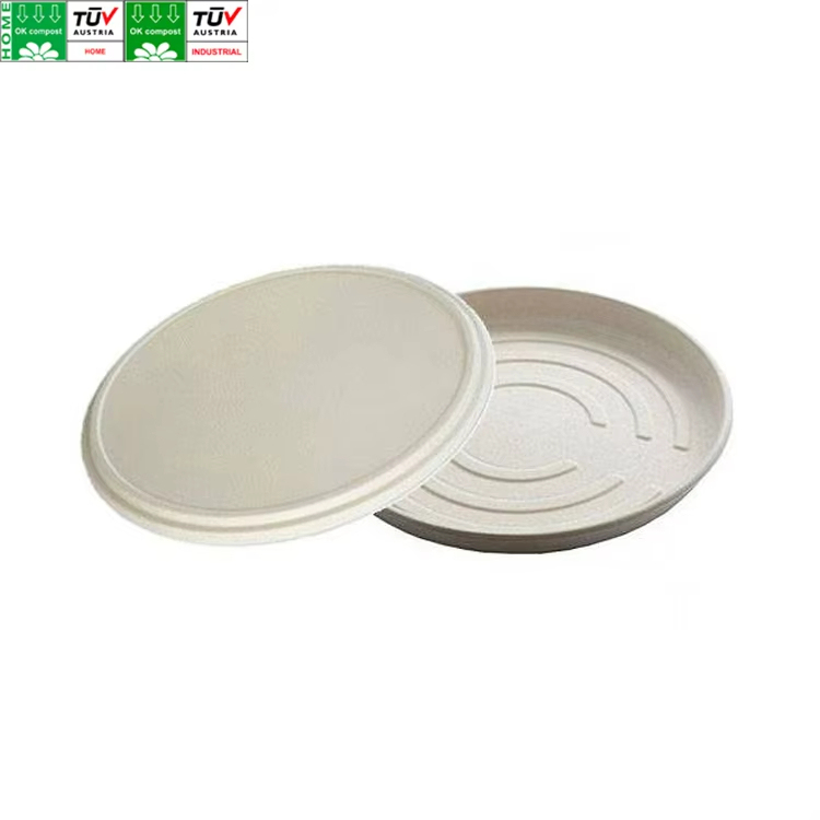 SKU-11Bagasse pizza plate with lid