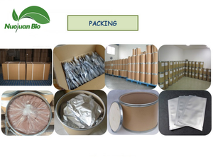 散装20% 可可碱可可豆提取物可可碱可可提取物可可碱10% 20% - Product Image 3