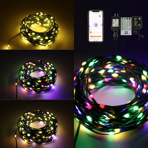 Aoying Christmas Fairy <span class=keywords><strong>String</strong></span> Light Ws2811 RGB a todo color 12V Pebble <span class=keywords><strong>LED</strong></span> Pixel Seed Light Christmas Seed Pixel Pebble <span class=keywords><strong>String</strong></span> <span class=keywords><strong>led</strong></span> - Product Image 5