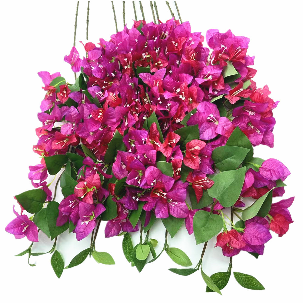 fuchsia red