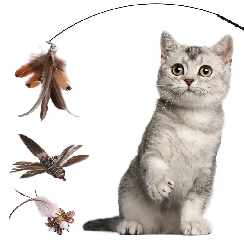 Bâton de chat à plumes en fil d'acier, longue tige tête Interchangeable jouets pour animaux de compagnie pour chats herbe à chat