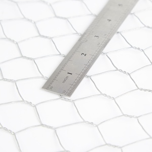 Hühnerstall Sechseckiges Draht geflecht Doppelt verdrilltes sechseckiges Draht geflecht Triple Twist Sechseckiges Draht geflecht PVC Verzinkte Geflügelfarm - Product Image 4