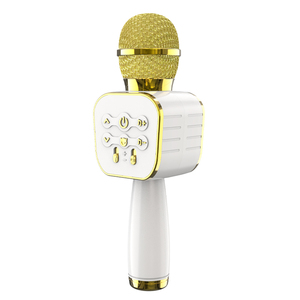 Funk mikrofon U-Segment Fest frequenz Haushalt KTV Outdoor Audio Karaoke Mikrofon Bluetooth Lautsprecher