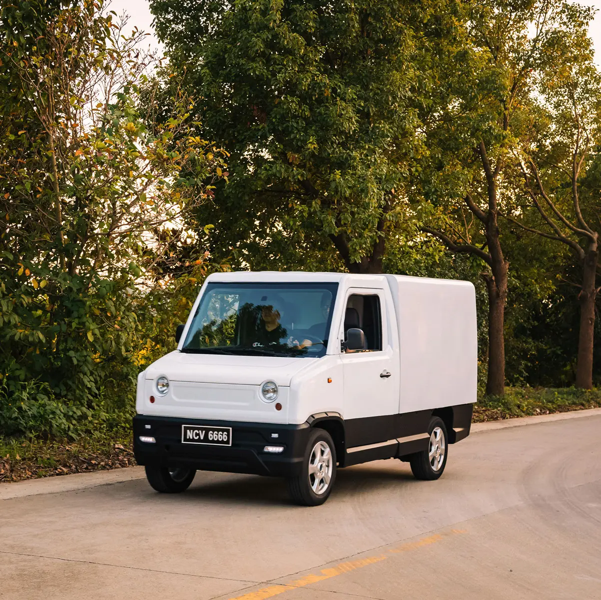 LHD/RHD EV yüksek hızlı elektrikli mini kamyon pikap/van Euro N1 sertifikası