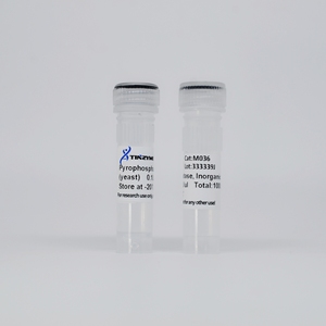 Tinzyme <strong>Pyrophosphatase</strong>, Inorganic (yeast), GMP Grade (ppase),Remove Contamination of PPi in Reagent of SNP Genotyping - Product Image 2