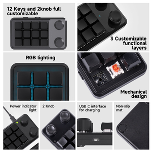 2.4G无线可编程宏键盘usb-c迷你定制键盘12键2旋钮多媒体发光二极管灯机械热插拔