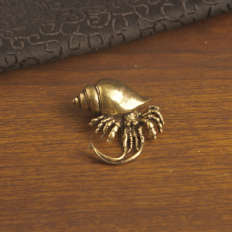 crabe ermite coloré